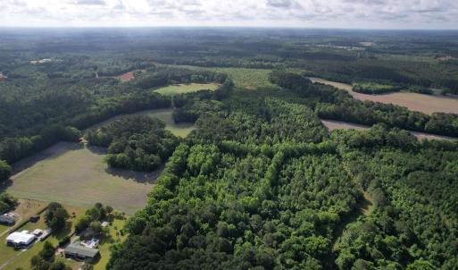 Photo #12 of  81.7 acres