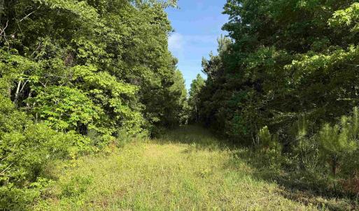 Photo #7 of  81.7 acres