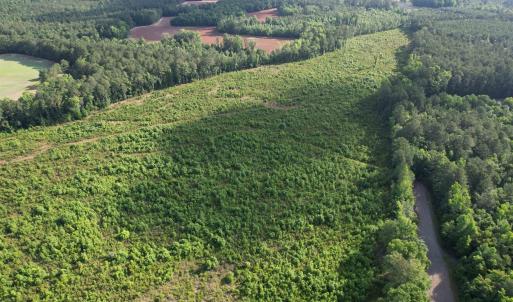 Photo #21 of  81.7 acres