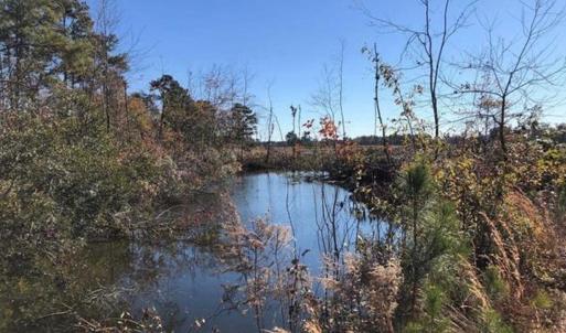 Photo #6 of TBD Strickland Rd., Green Sea, SC 1.0 acres