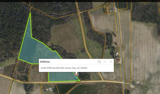Photo #8 of TBD Strickland Rd., Green Sea, SC 1.0 acres