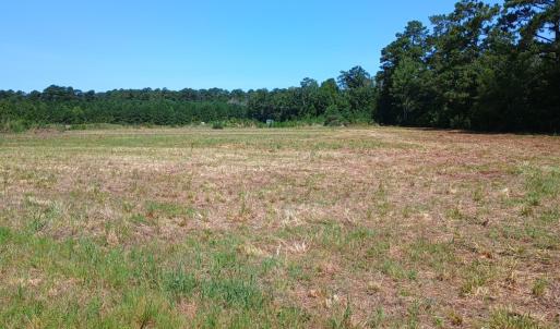 Photo #4 of TBD Strickland Rd., Green Sea, SC 1.0 acres