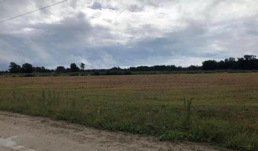 Photo #5 of TBD Strickland Rd., Green Sea, SC 1.0 acres