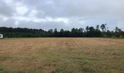 Photo #3 of TBD Strickland Rd., Green Sea, SC 1.0 acres