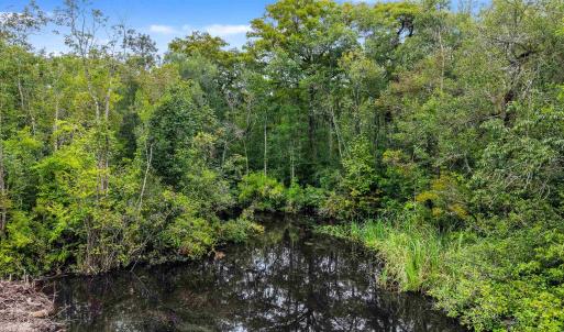 Photo #16 of Meggett Dr., Georgetown, SC 0.8 acres