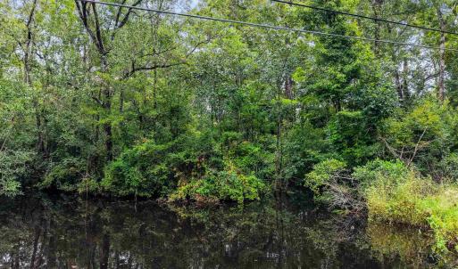 Photo #2 of Meggett Dr., Georgetown, SC 0.8 acres