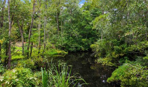 Photo #17 of Meggett Dr., Georgetown, SC 0.8 acres