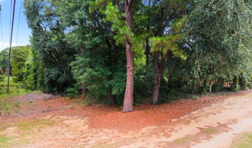 Photo #12 of Meggett Dr., Georgetown, SC 0.8 acres