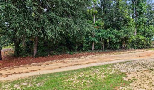 Photo #11 of Meggett Dr., Georgetown, SC 0.8 acres