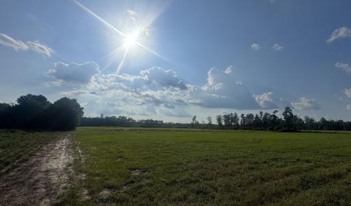 Photo #1 of Highway 19, Nichols, SC 67.9 acres
