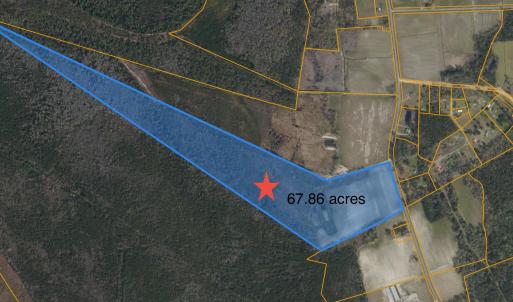 Photo #4 of Highway 19, Nichols, SC 67.9 acres