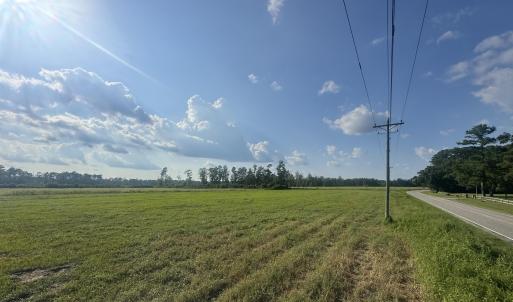Photo #3 of Highway 19, Nichols, SC 67.9 acres