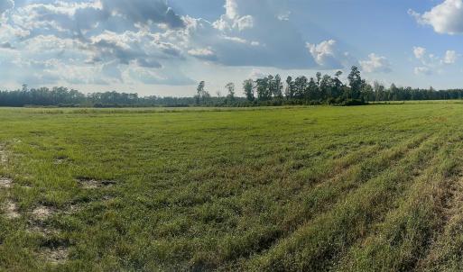 Photo #2 of Highway 19, Nichols, SC 67.9 acres