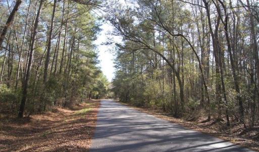 Photo #3 of Lot 25 Crow Hill Dr., Georgetown, SC 1.0 acres
