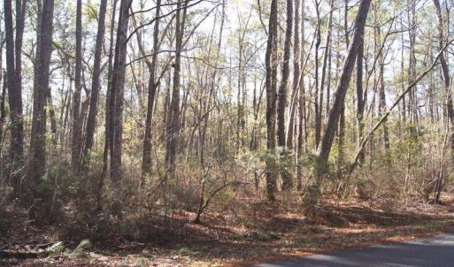 Photo #2 of Lot 25 Crow Hill Dr., Georgetown, SC 1.0 acres