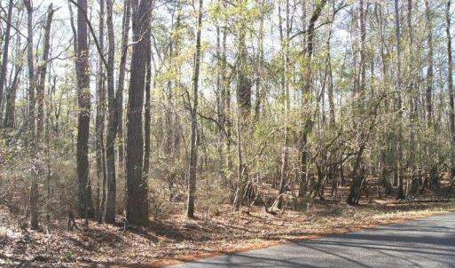 Photo #1 of Lot 25 Crow Hill Dr., Georgetown, SC 1.0 acres
