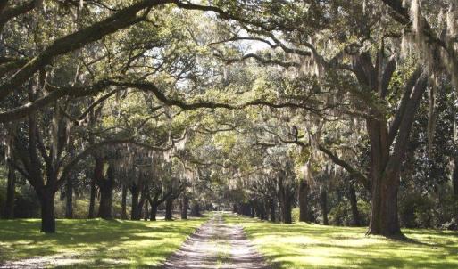 Photo #10 of Lot 26 Crow Hill Dr., Georgetown, SC 1.0 acres