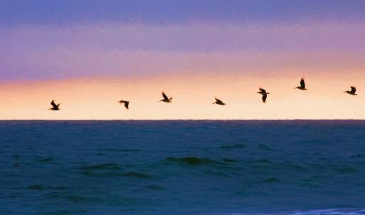 Photo #33 of Lot 1-A Brace Dr., Pawleys Island, SC 1.6 acres