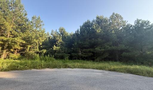 Photo #2 of 359 Cedar Grove Church Rd, Johnsonville, SC 0.5 acres