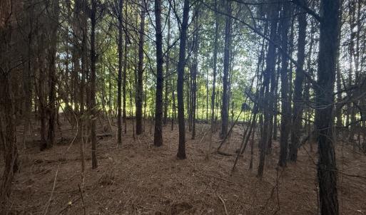 Photo #8 of 359 Cedar Grove Church Rd, Johnsonville, SC 0.5 acres