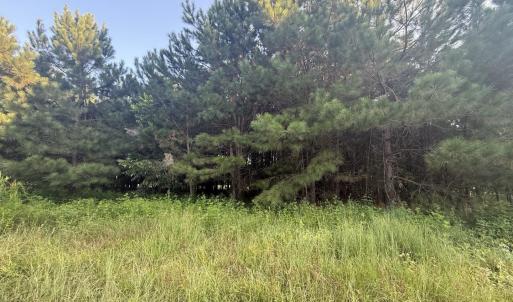 Photo #3 of 359 Cedar Grove Church Rd, Johnsonville, SC 0.5 acres