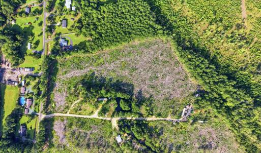 Photo #13 of 2106 Mineral Springs Rd., Conway, SC 13.4 acres