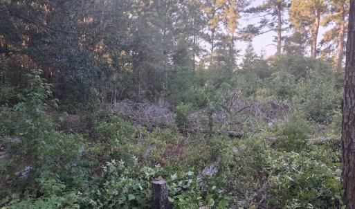 Photo #1 of Lot 11-D McGregor Circle, Lake City, SC 0.2 acres