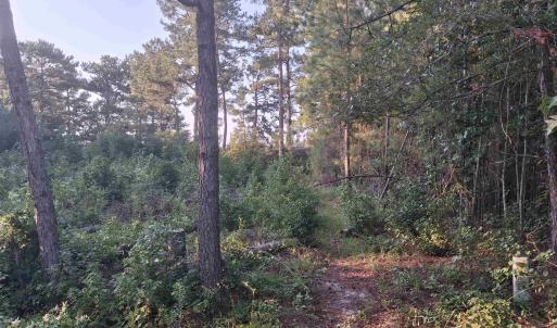 Photo #1 of Lot 10-D McGregor Circle, Lake City, SC 0.2 acres