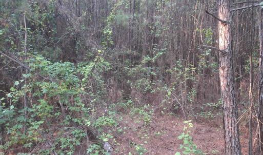 Photo #1 of Lot 5-D McGregor Circle, Lake City, SC 0.2 acres