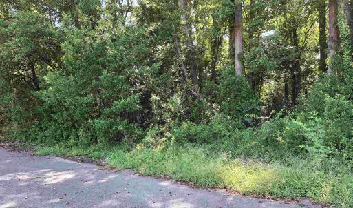 Photo #12 of tbd 29th Ave. S, Atlantic Beach, SC 0.2 acres