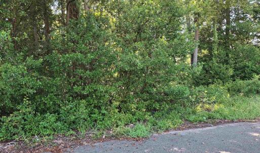 Photo #13 of tbd 29th Ave. S, Atlantic Beach, SC 0.2 acres
