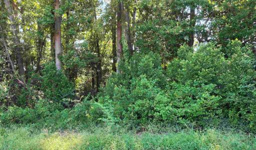 Photo #11 of tbd 29th Ave. S, Atlantic Beach, SC 0.2 acres