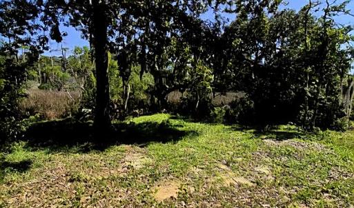 Photo #3 of tbd Watson Way, Pawleys Island, SC 0.2 acres