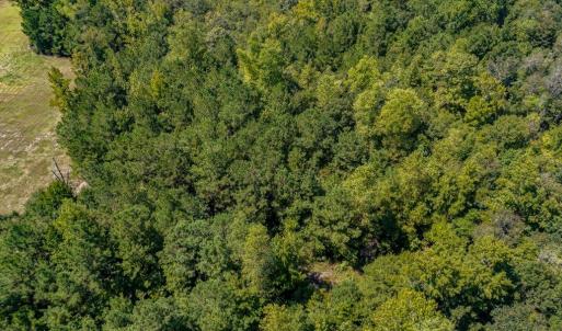Photo #9 of 35+ Acs Kerl Rd., Conway, SC 35.0 acres