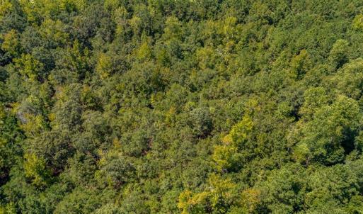 Photo #10 of 35+ Acs Kerl Rd., Conway, SC 35.0 acres