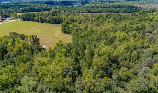 Photo #8 of 35+ Acs Kerl Rd., Conway, SC 35.0 acres