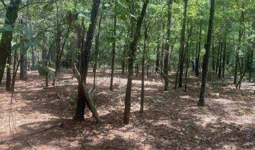 Photo #28 of 185 Legion St., Dillon, SC 135.0 acres