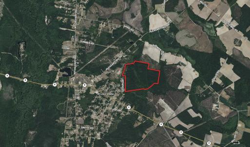Photo #4 of 185 Legion St., Dillon, SC 135.0 acres