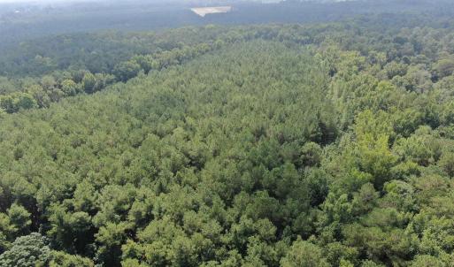 Photo #32 of 185 Legion St., Dillon, SC 135.0 acres
