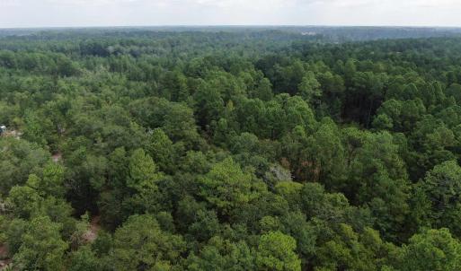 Photo #29 of 185 Legion St., Dillon, SC 135.0 acres