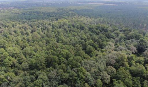 Photo #31 of 185 Legion St., Dillon, SC 135.0 acres