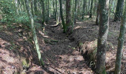 Photo #15 of 185 Legion St., Dillon, SC 135.0 acres