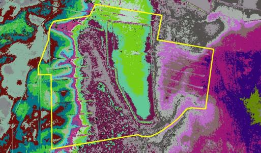 Photo #3 of 185 Legion St., Dillon, SC 135.0 acres