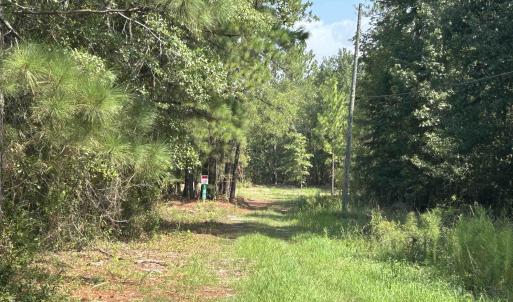 Photo #5 of 185 Legion St., Dillon, SC 135.0 acres