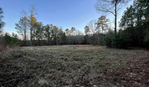 Photo #6 of 9207 County Line Rd., Nesmith, SC 3.7 acres