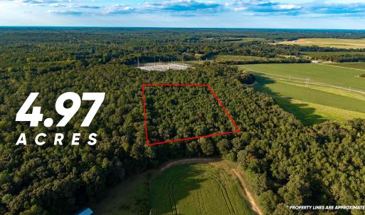 Photo #10 of TBD Peach Orchard Rd., Rembert, SC 6.0 acres