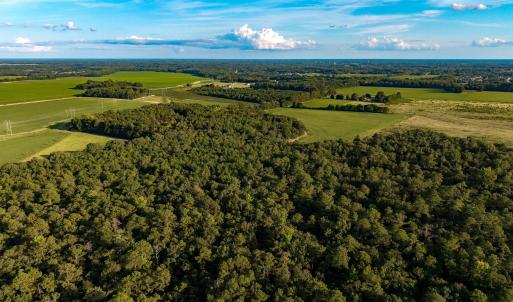 Photo #6 of TBD Peach Orchard Rd., Rembert, SC 6.0 acres
