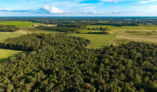 Photo #7 of TBD Peach Orchard Rd., Rembert, SC 6.0 acres