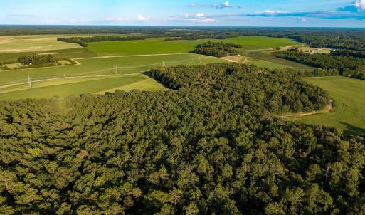 Photo #3 of TBD Peach Orchard Rd., Rembert, SC 6.0 acres