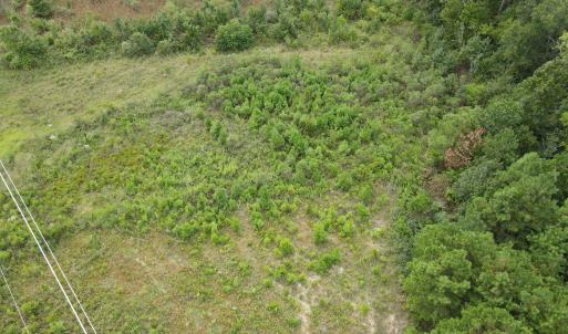 Photo #6 of TBD Mosdell Dr., Conway, SC 10.2 acres